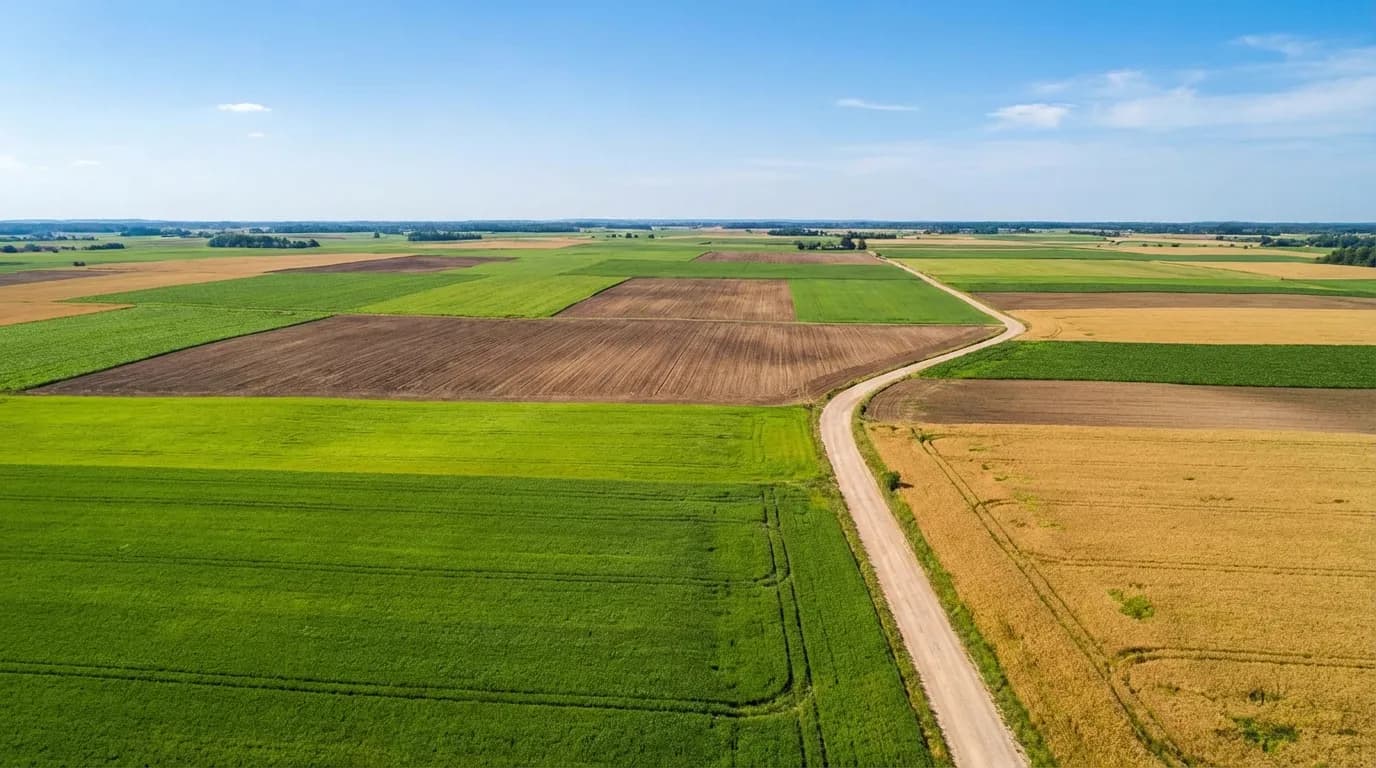 Agricultural landscape